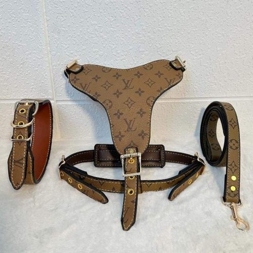Biege leather dog harness set