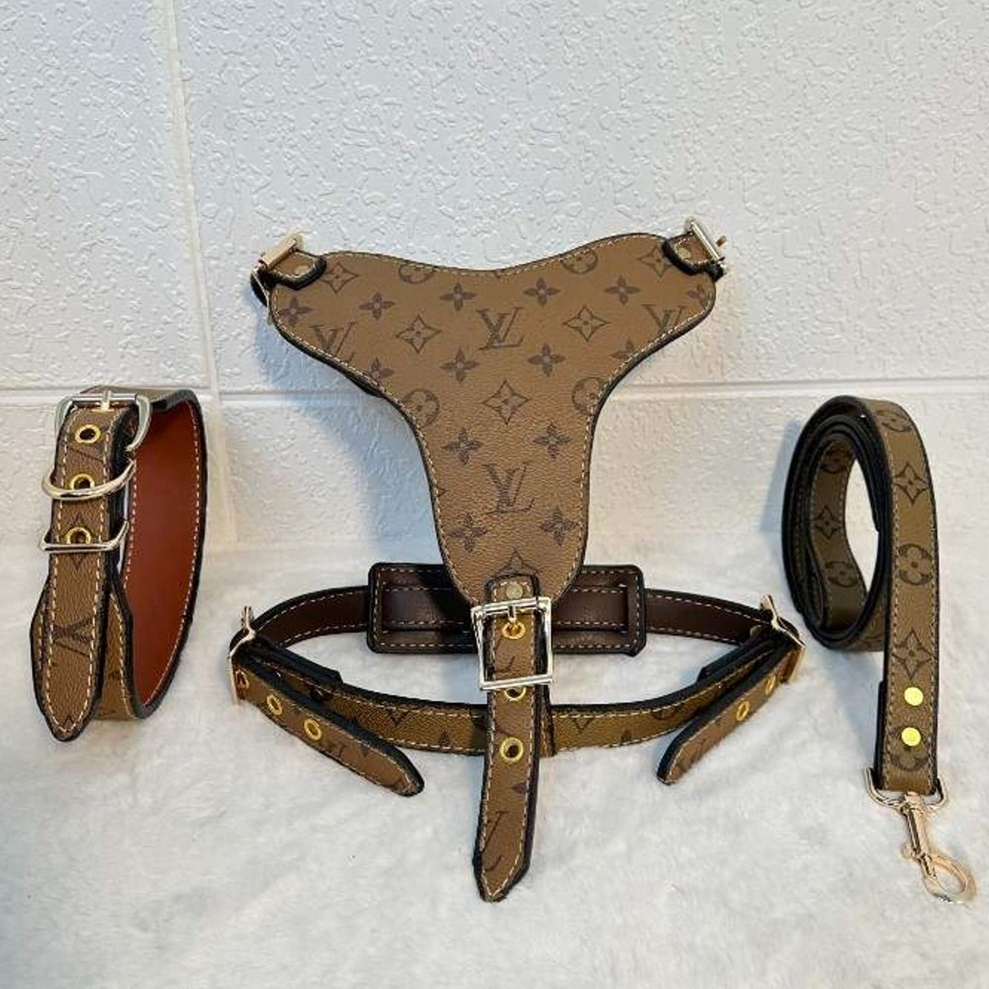 Biege leather dog harness set