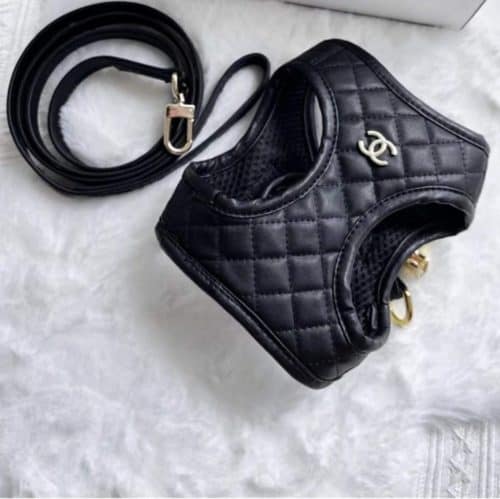Black padded dog harness, front view