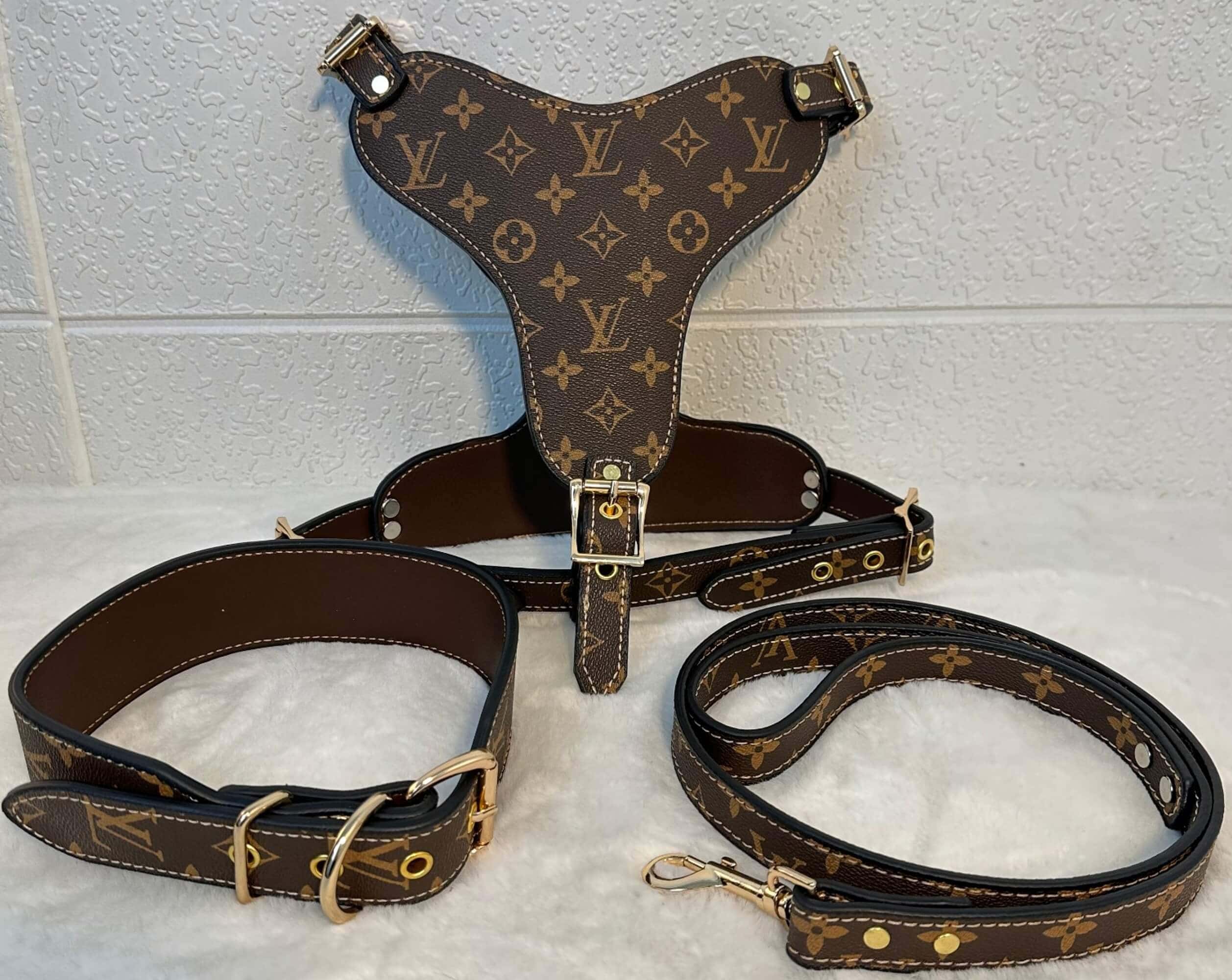 Brown leather dog harness with matching collar and leash