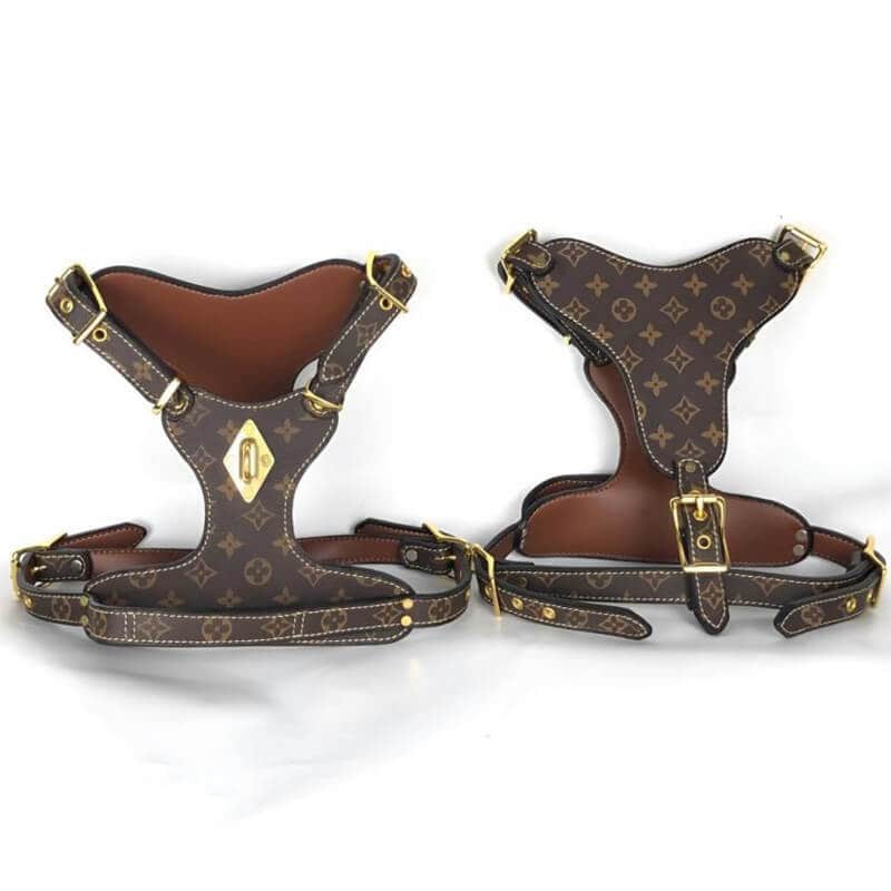 luxury-dark-brown-harness