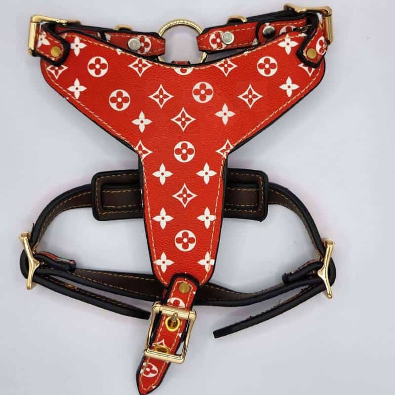 Designer dog harness outlet for large dog